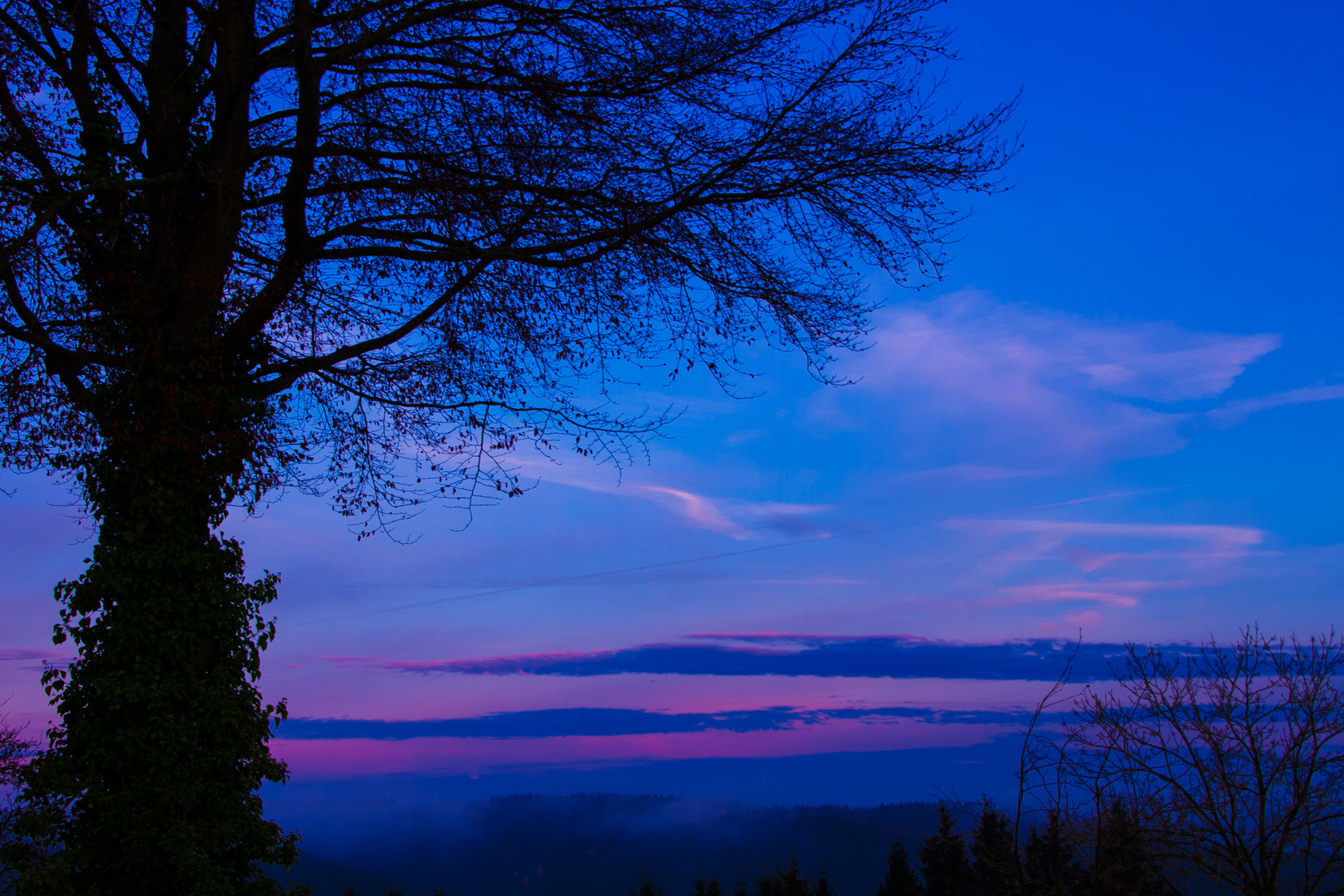 Sky in the winter