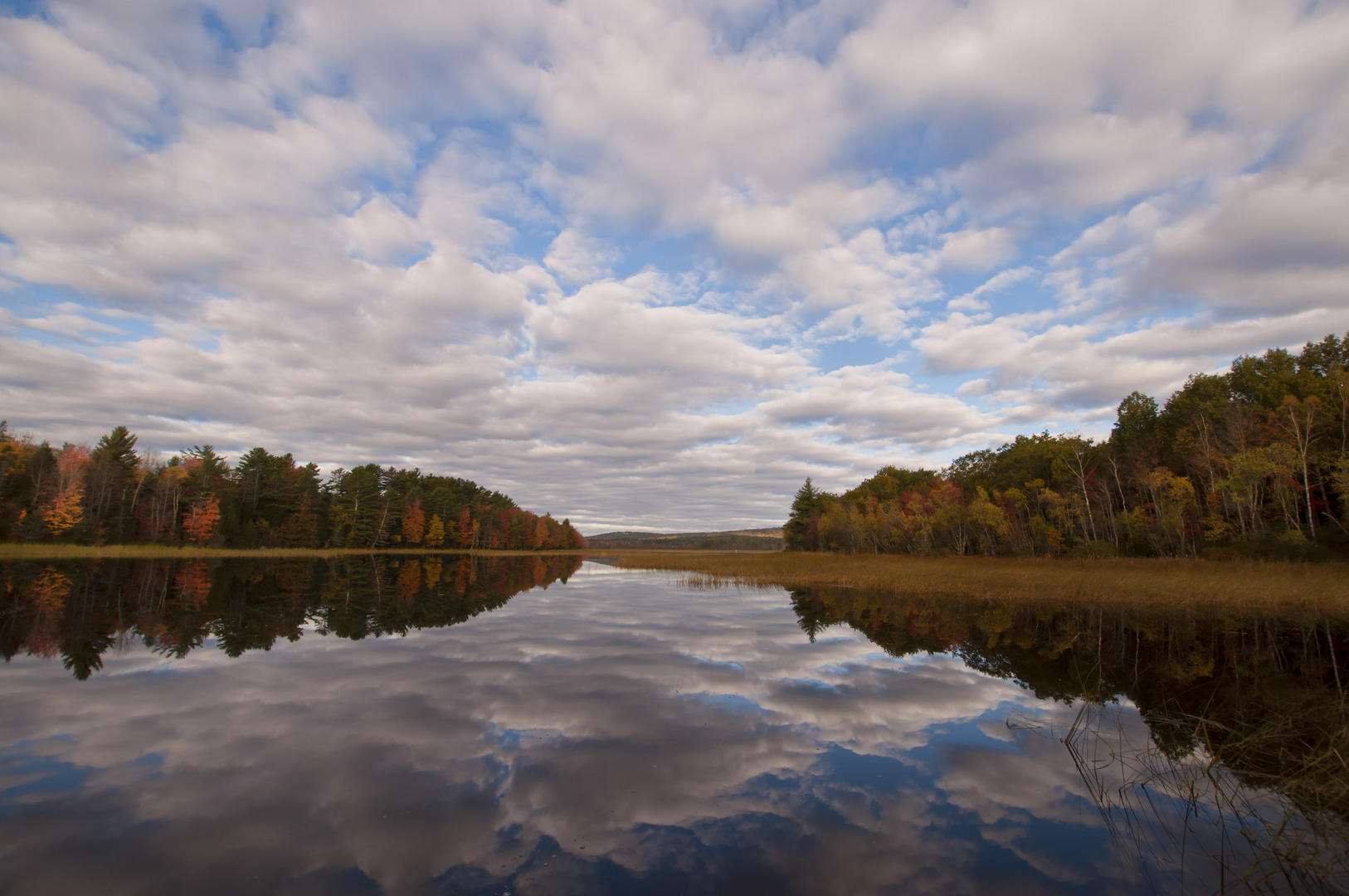 Sky, lake and forest...