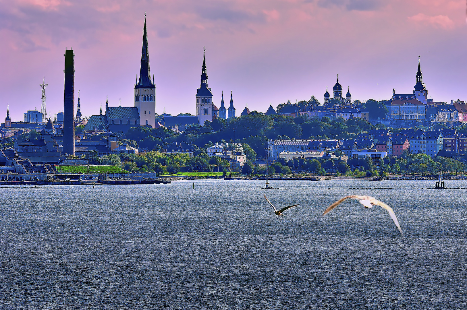 Sky Line de Tallin