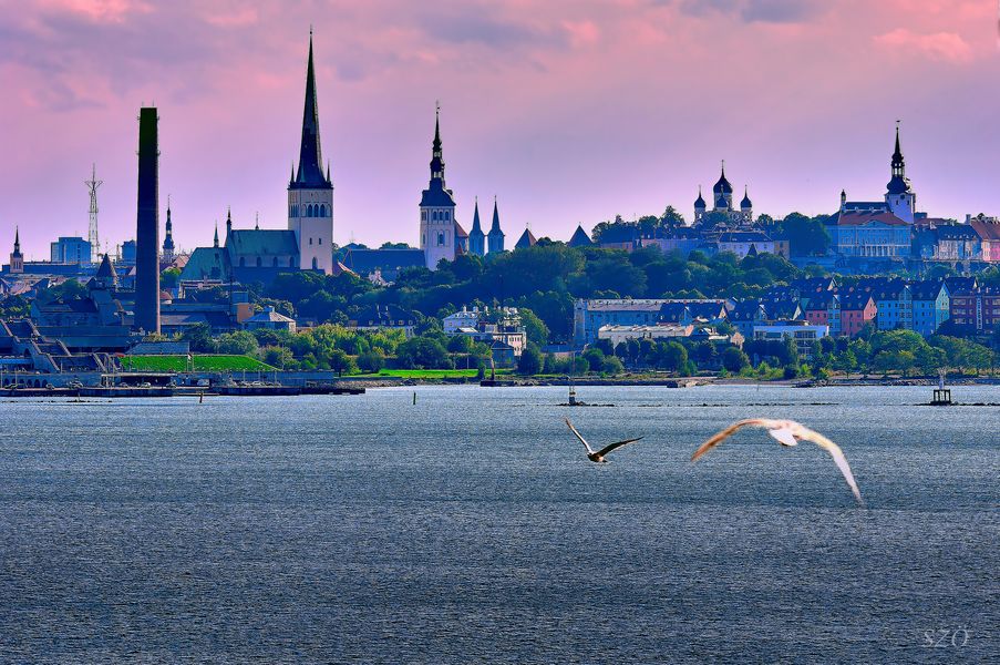 Sky Line de Tallin