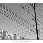 Sky Lines 01