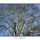 sky network