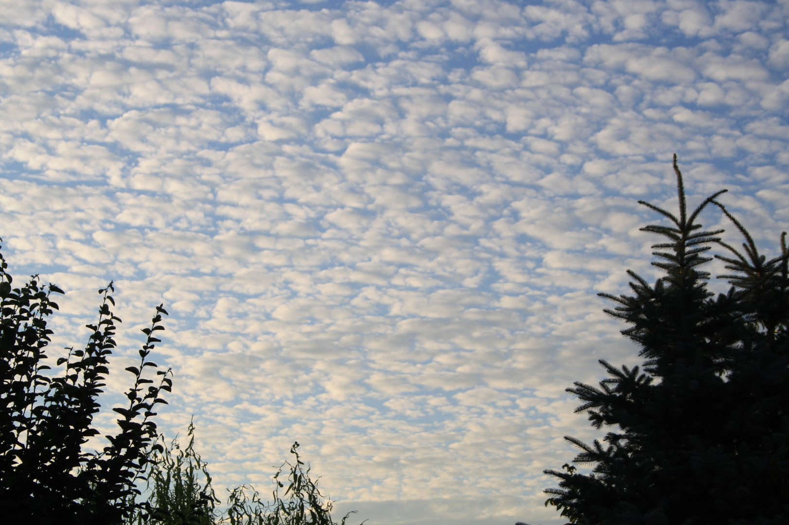 sky of blue