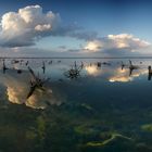 Sky Of Underwater