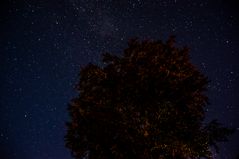 Sky over our Garden