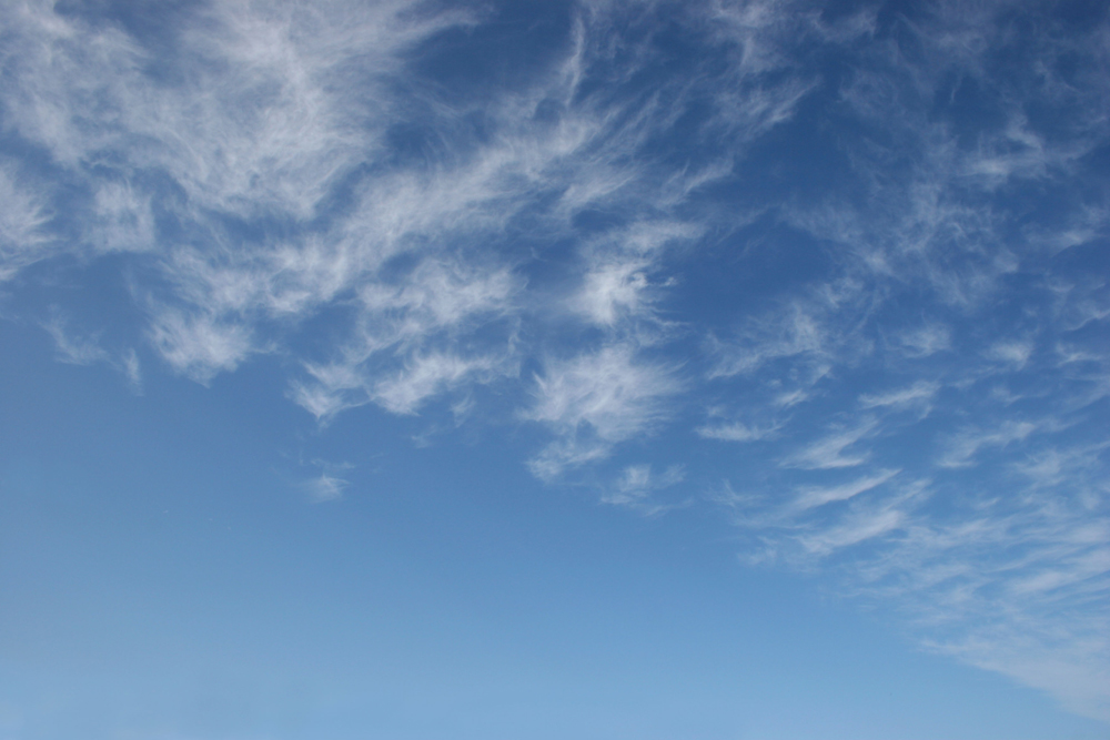 Sky over Port Jackson, Coromandel