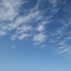 Sky over Port Jackson, Coromandel