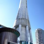 Sky Tower Auckland