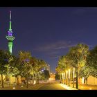 Sky Tower Auckland