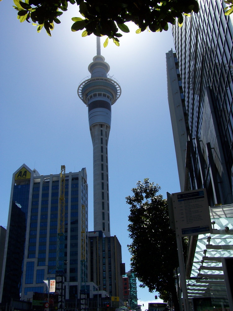 Sky Tower, Auckland, Neuseeland