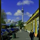 Sky Tower Auckland NZ,
