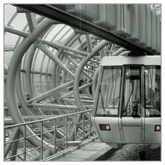 Sky Train