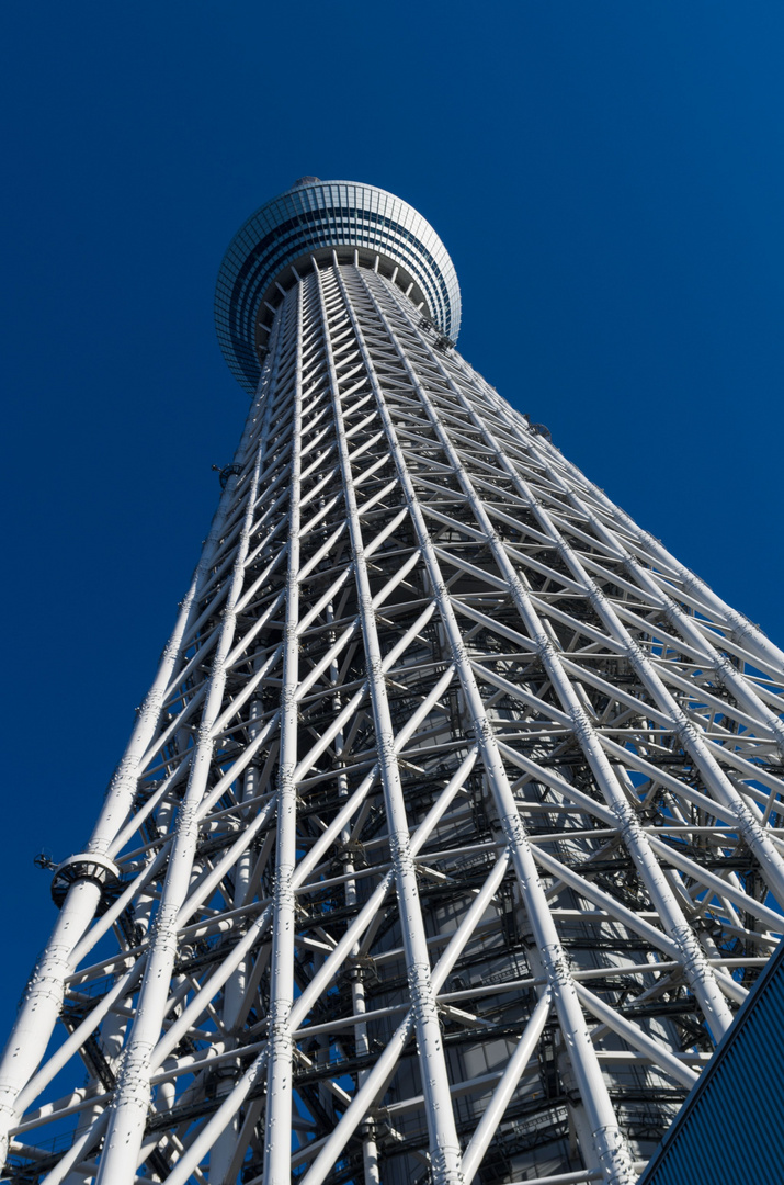 Sky tree