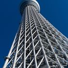 Sky tree