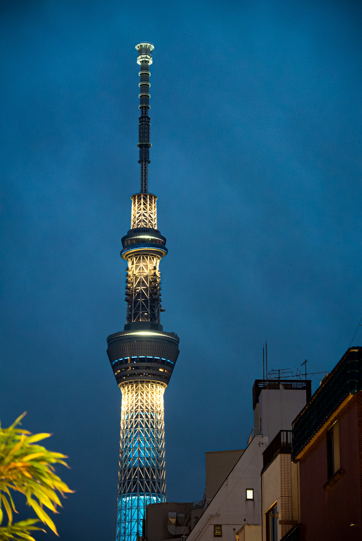 Sky tree tower Tokyo