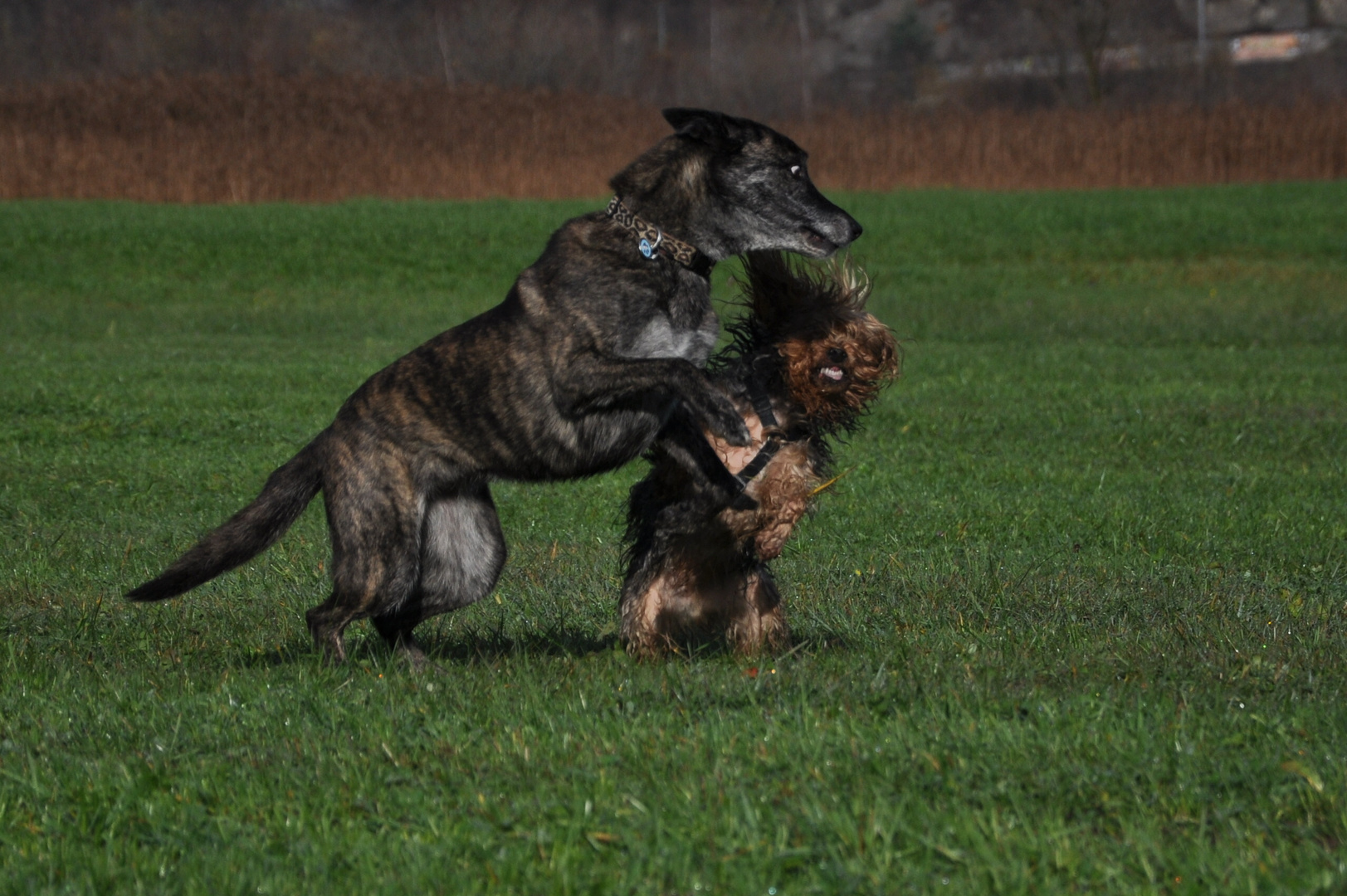 Sky und Max