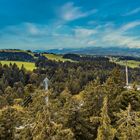 Sky Walk Allgäu