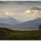 Skye Light