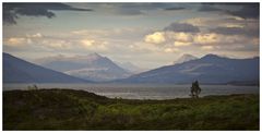 Skye Light