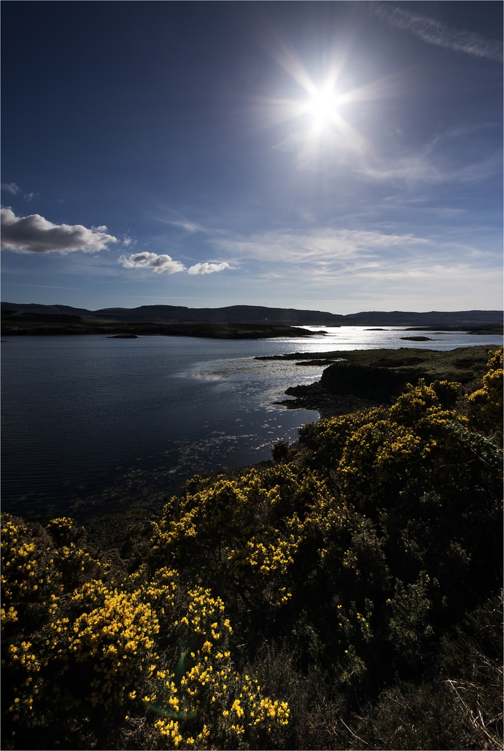 Skye / Loch Dunvegan