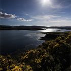 Skye / Loch Dunvegan