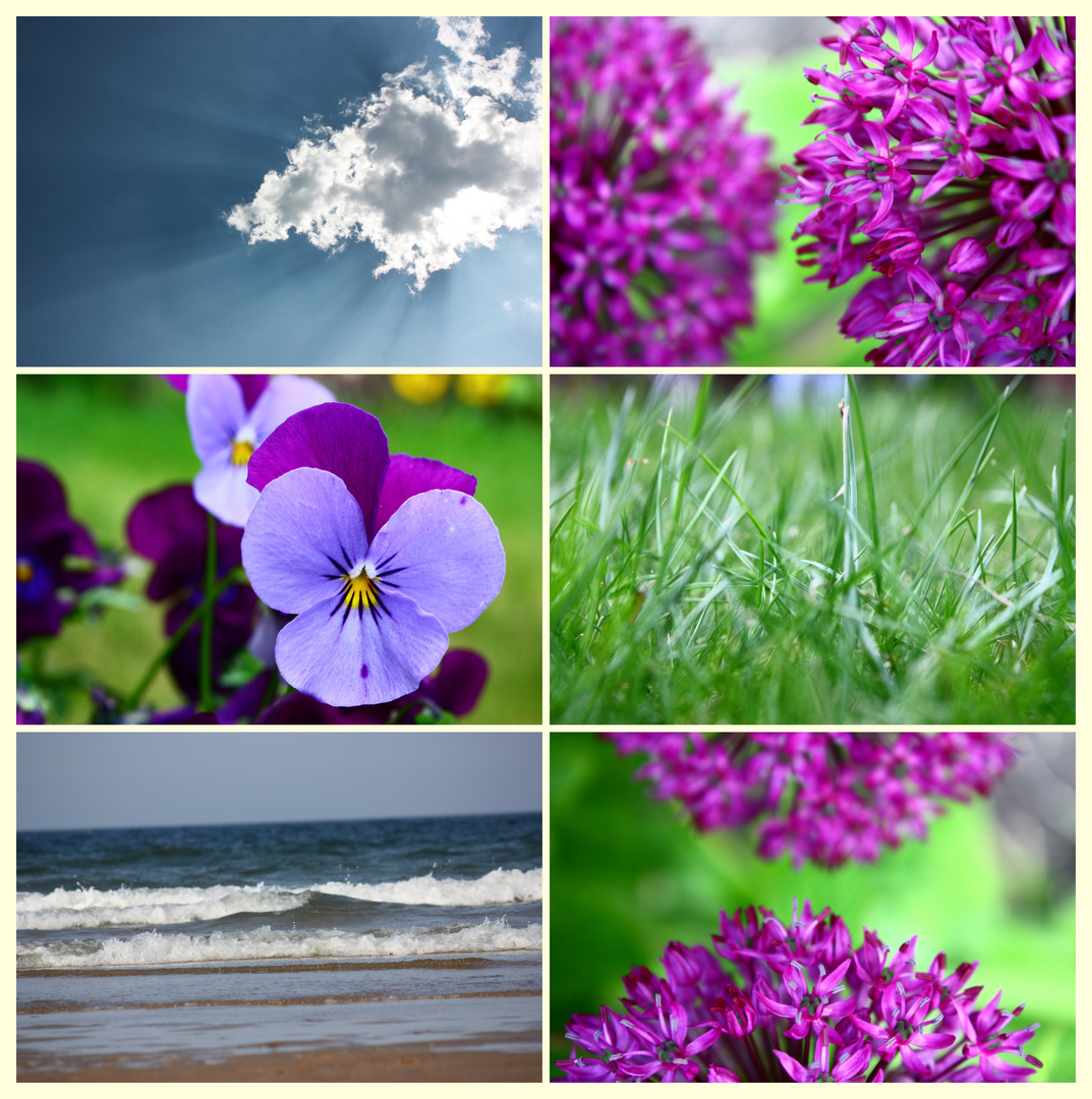 Sky.Flower.Grass.Sea...