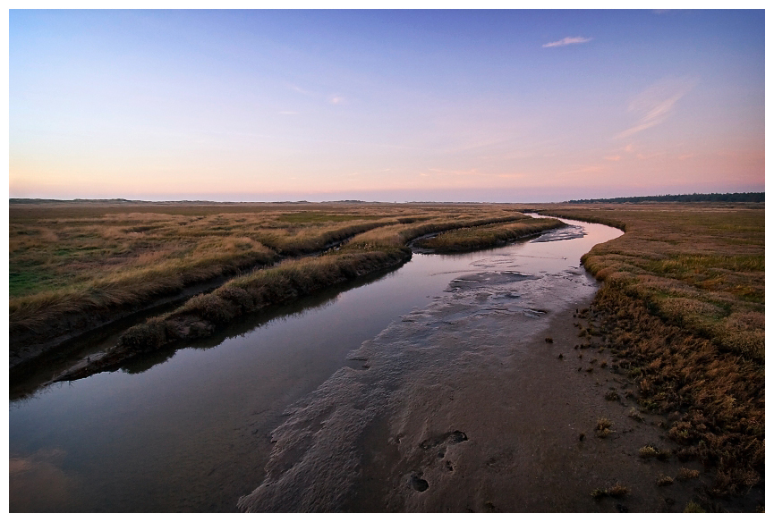 .sky.grass.river.bird.