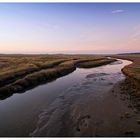 .sky.grass.river.bird.