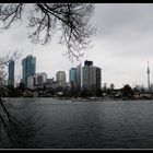 Skyline - Alte Donau