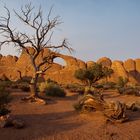 Skyline Arch