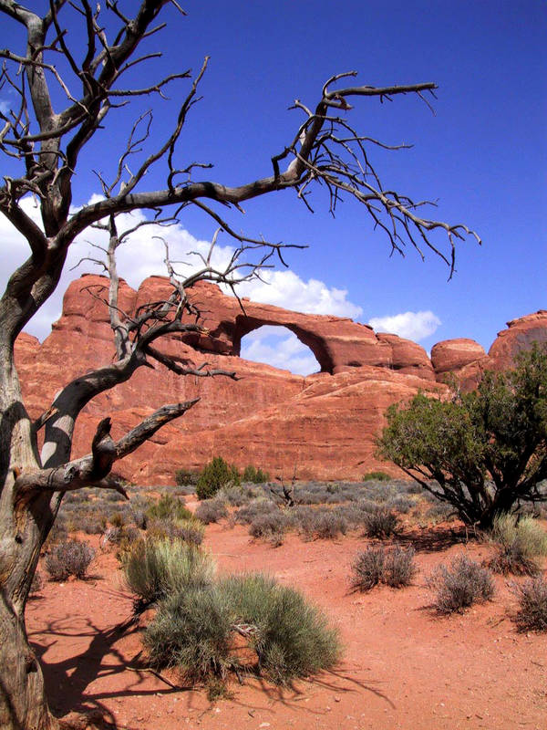 Skyline Arch