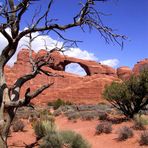 Skyline Arch