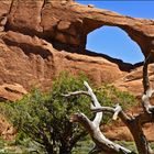 Skyline Arch