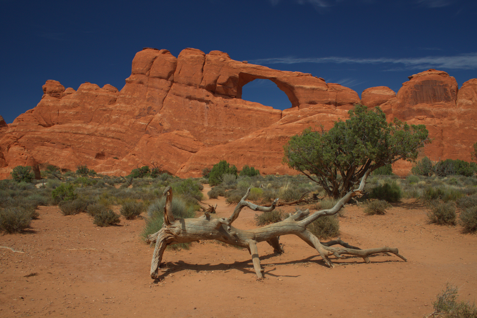 Skyline Arch