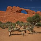 Skyline Arch