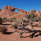 Skyline Arch - Arches National Park