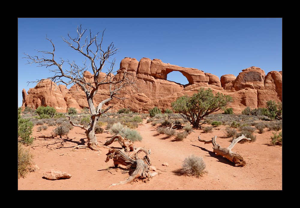 [ Skyline Arch ]