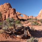 Skyline Arch