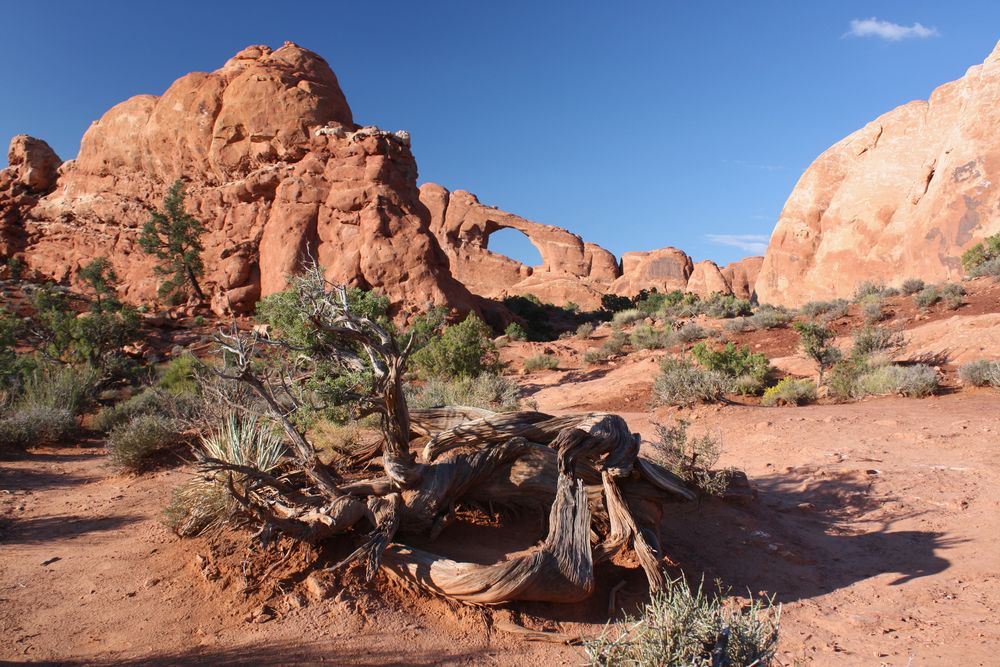 Skyline Arch