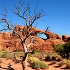 Skyline Arch on a lovely day