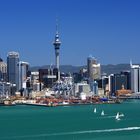 Skyline Auckland Neuseeland