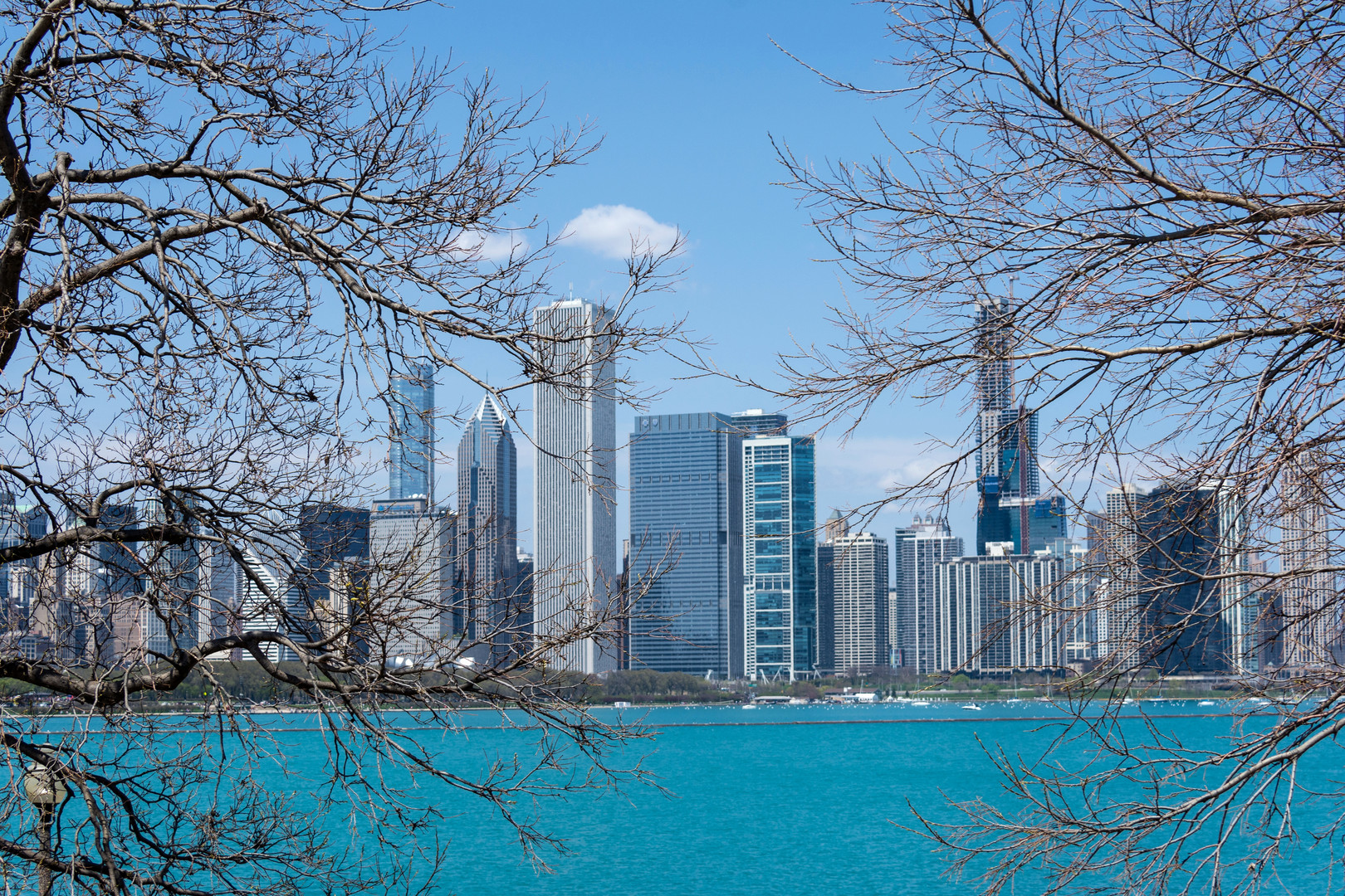 Skyline Chicago