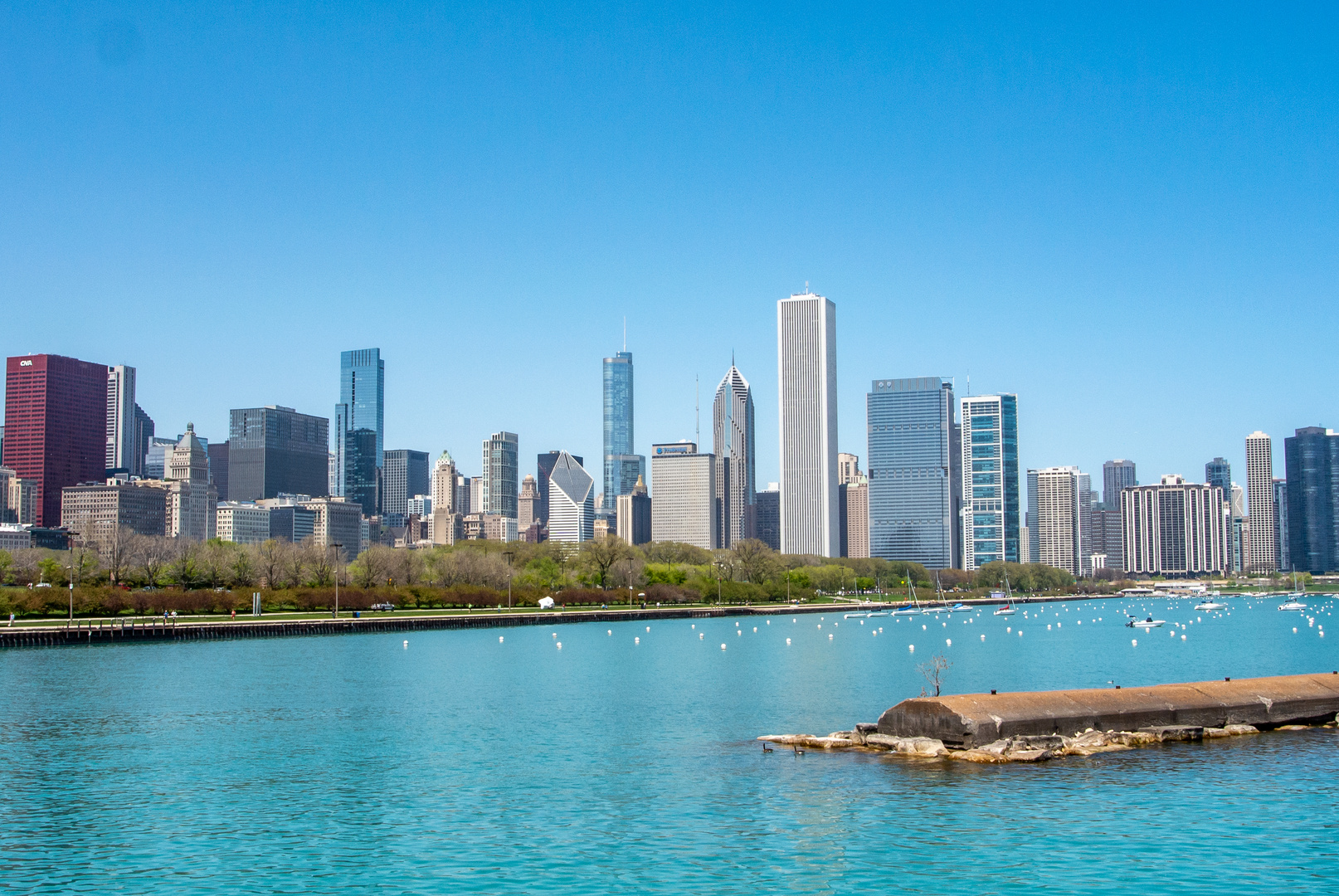 Skyline Chicago USA