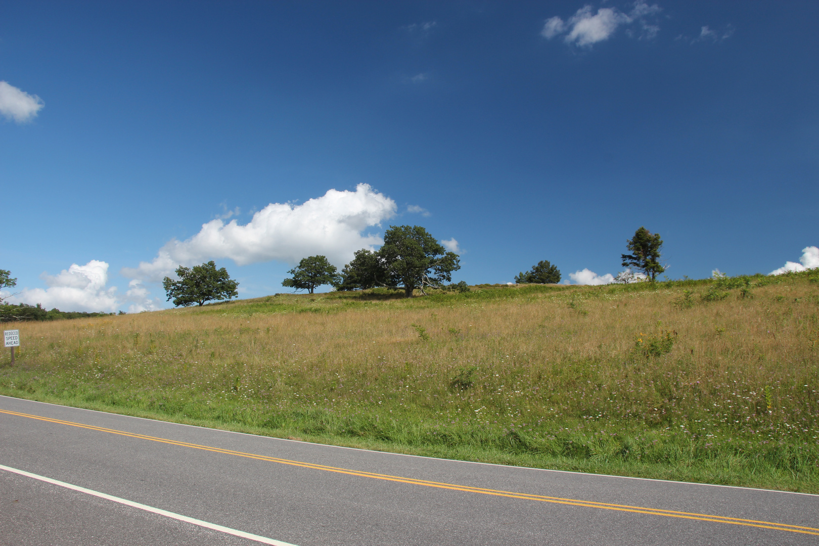 Skyline Drive