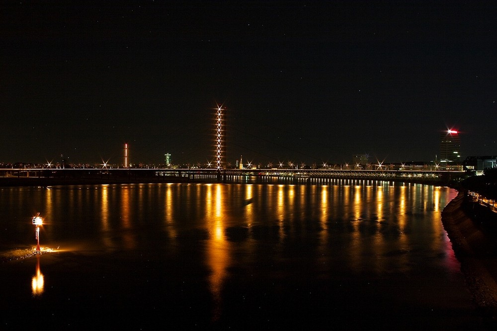 Skyline Düsseldorf mit Fischreiher