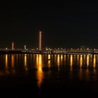 Skyline Düsseldorf mit Fischreiher