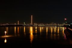 Skyline Düsseldorf mit Fischreiher
