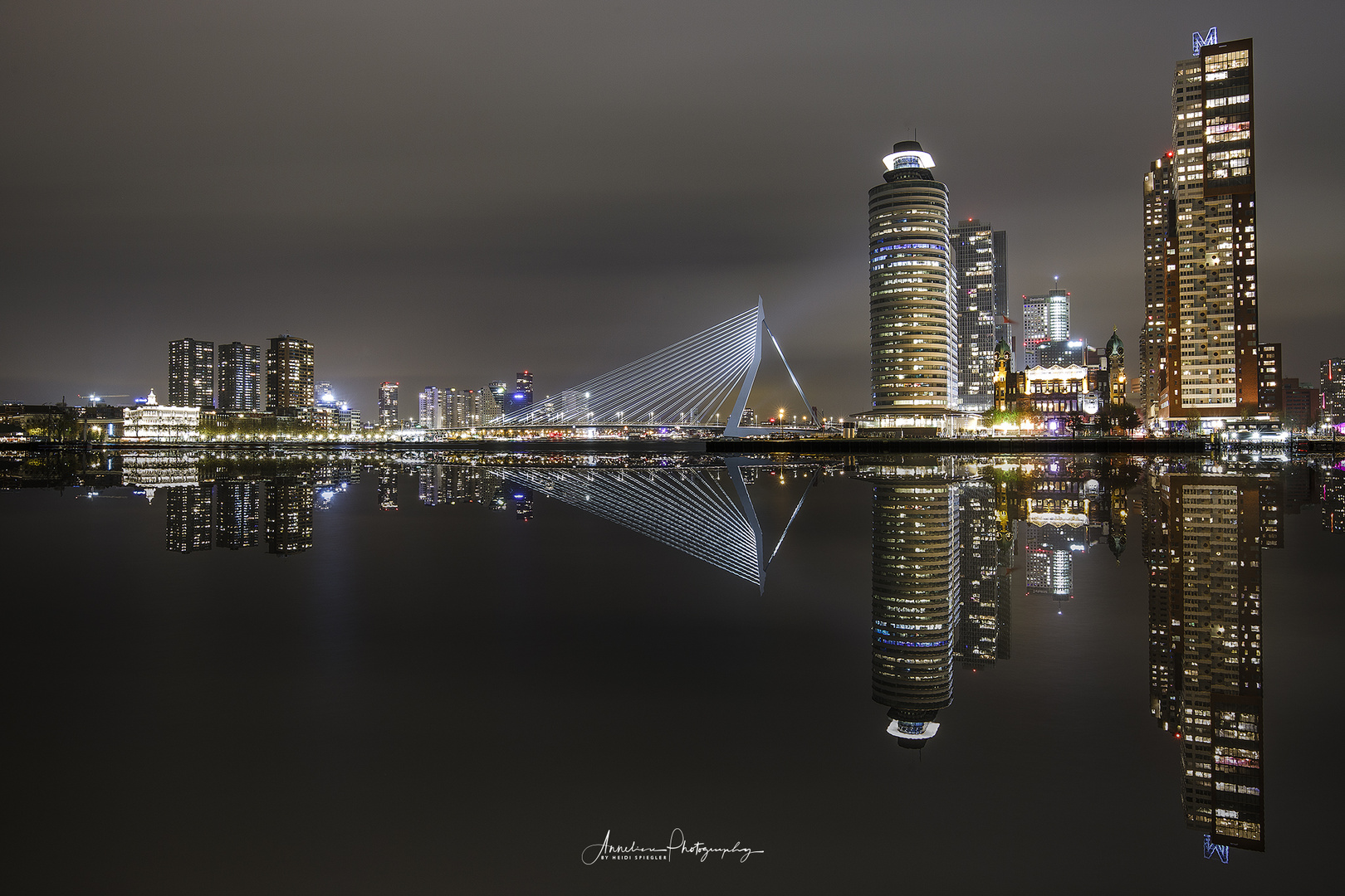 Skyline Erasmusbrücke Rotterdam