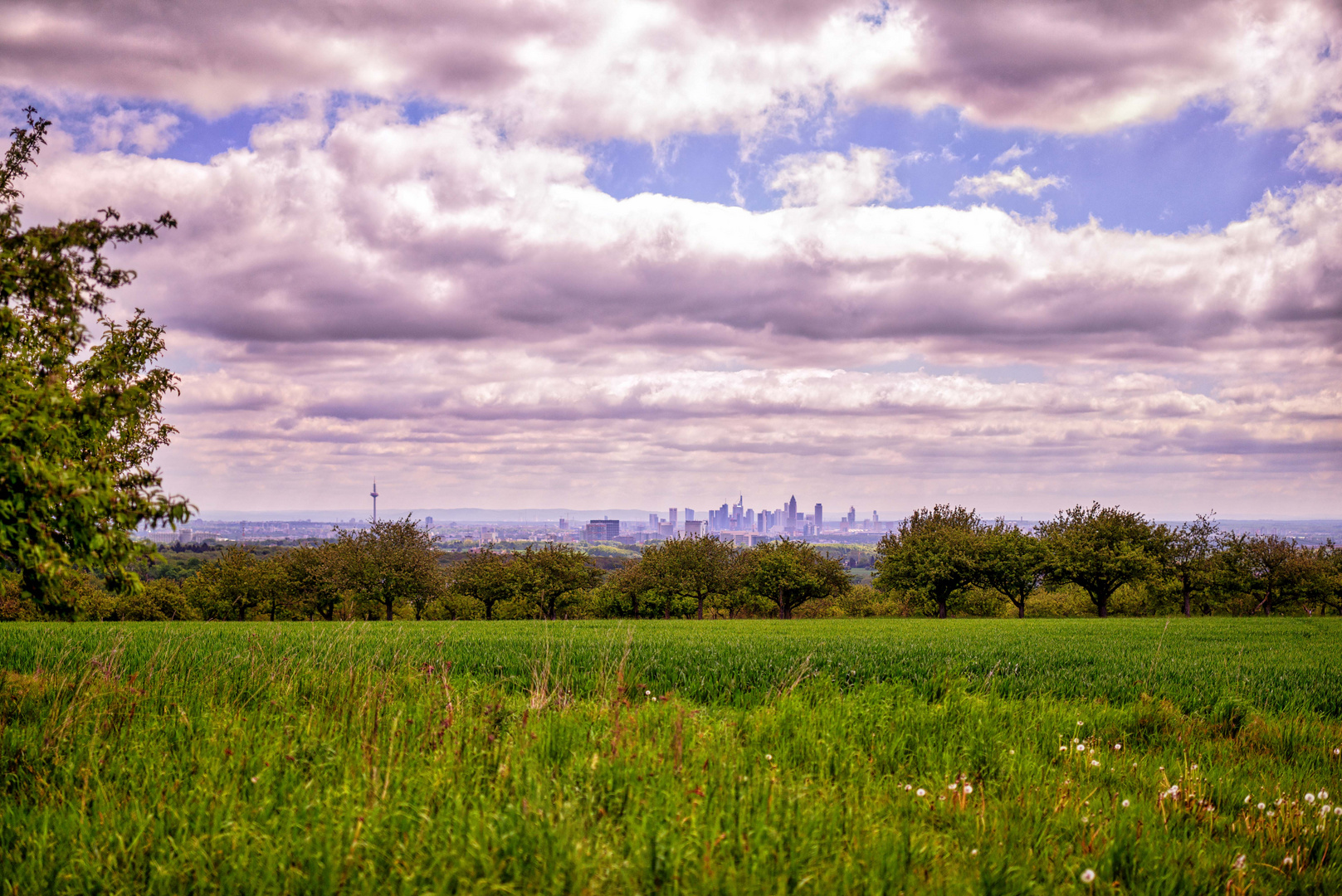 Skyline