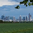 Skyline Frankfurt …